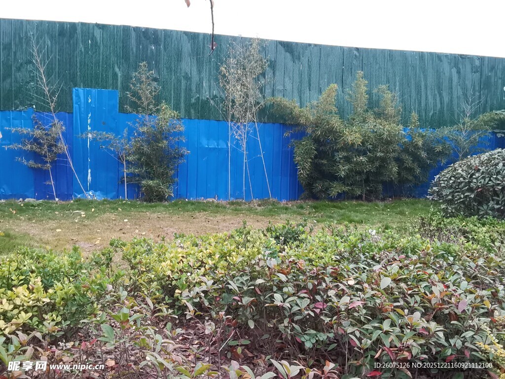户外绿植与蓝色围挡景观