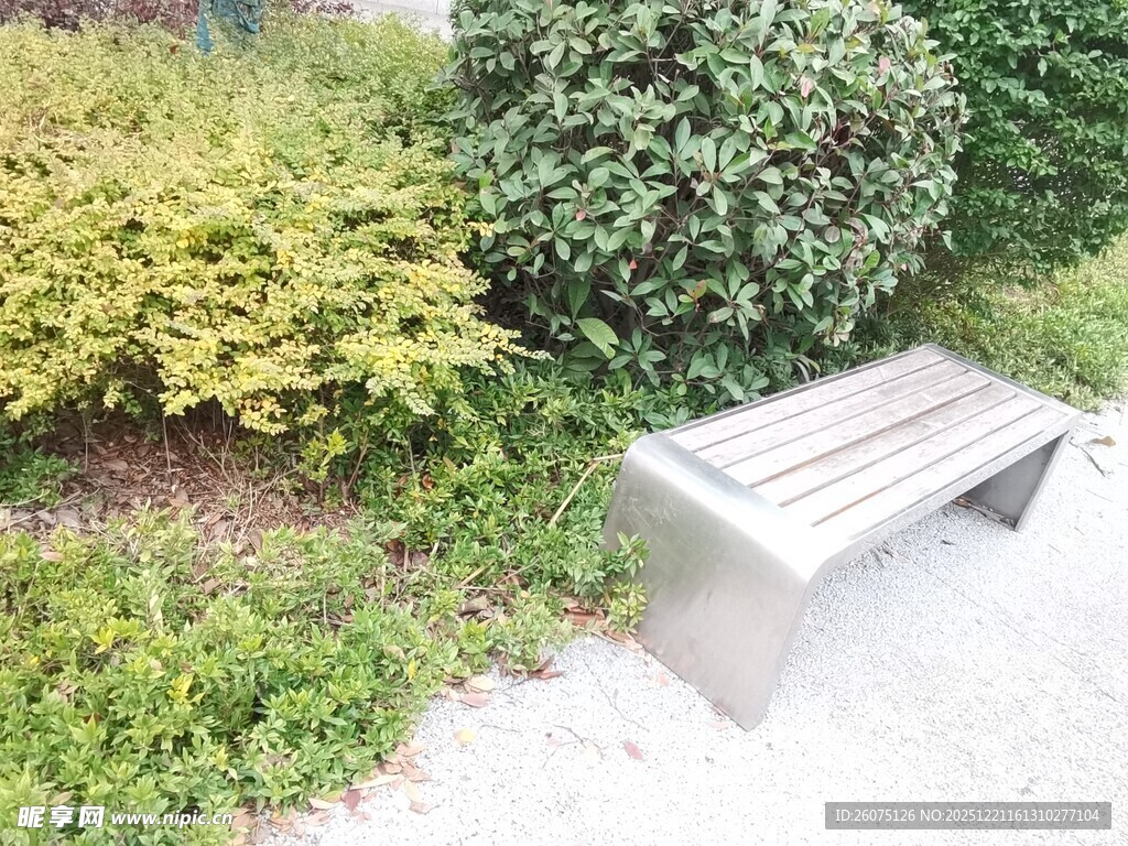 户外绿植旁的休闲长椅