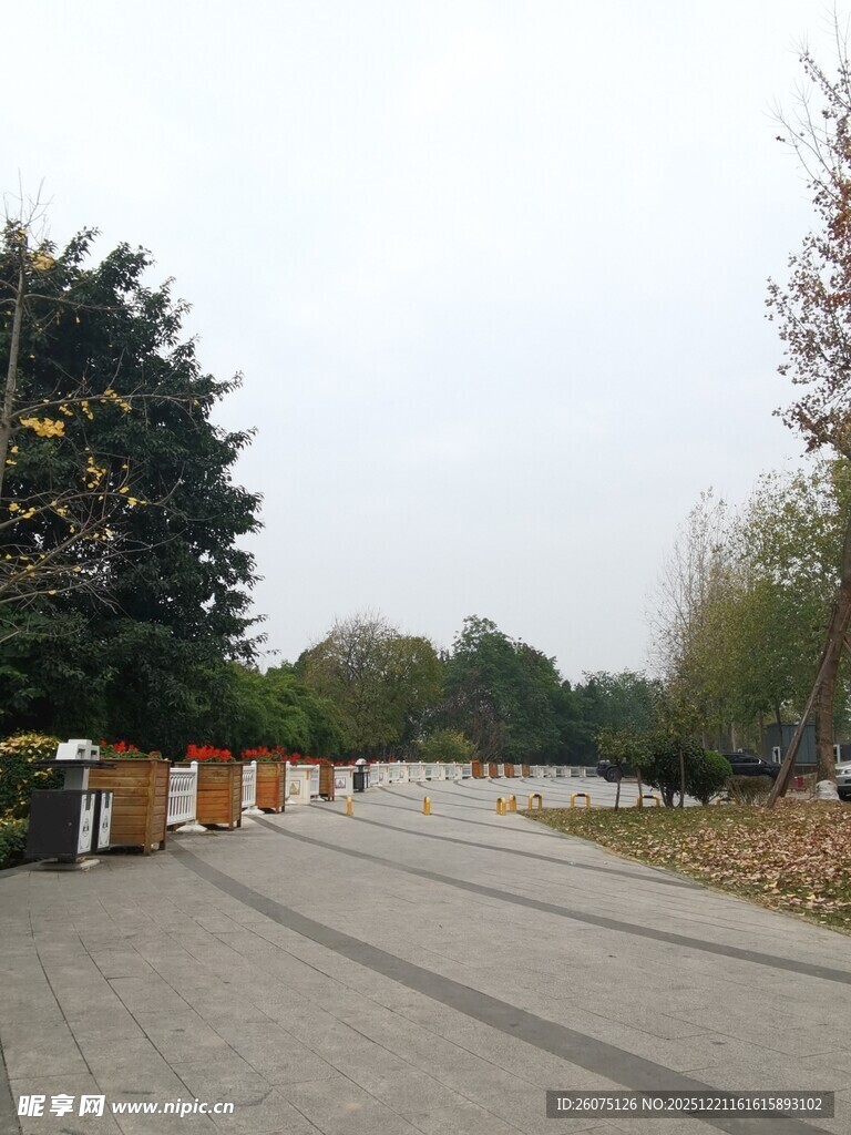 公园宽阔步道绿树环绕