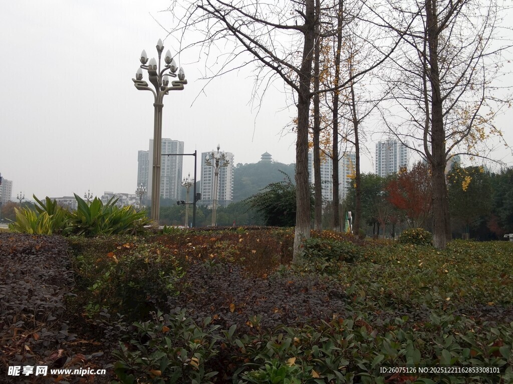 城市公园冬日景观