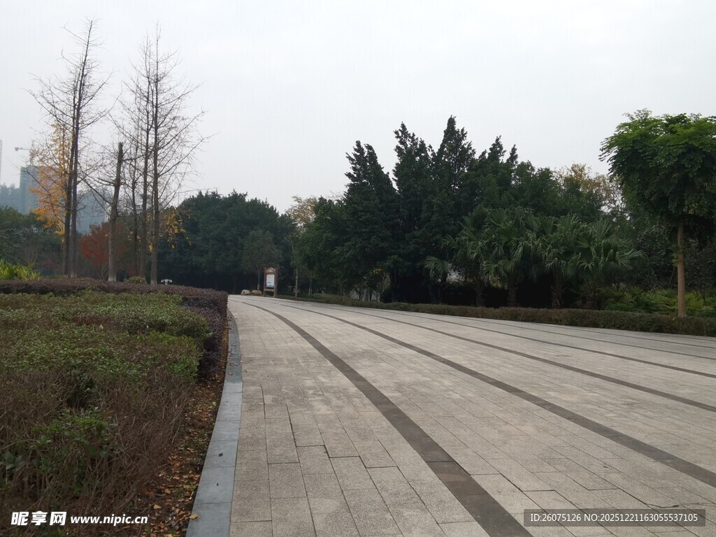 宽阔平坦的户外道路景观