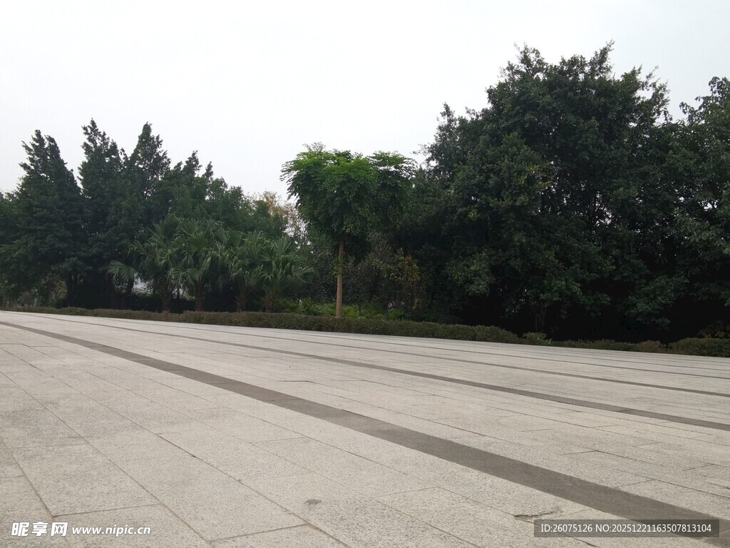 空旷广场与周边茂密树林
