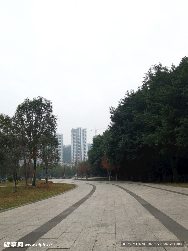 城市公园中的静谧步道