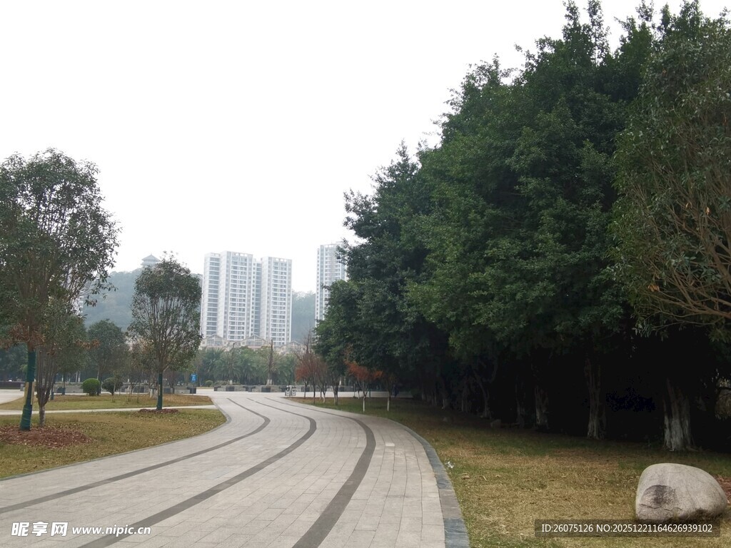 公园蜿蜒小路与周边景致