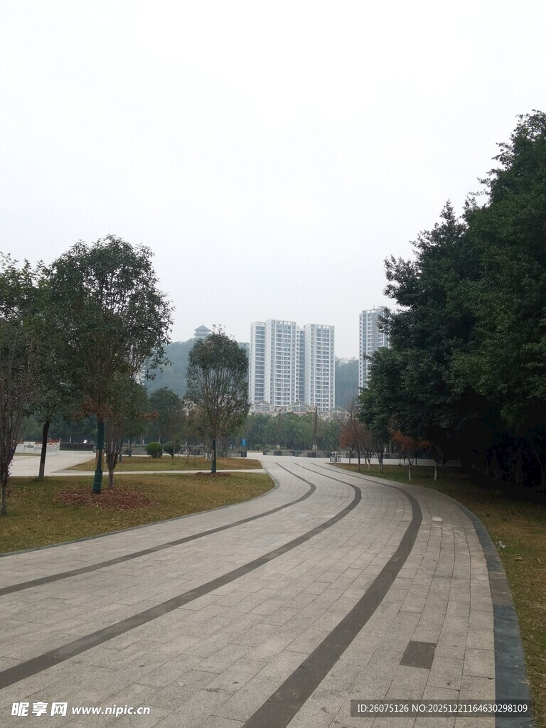 城市公园中的蜿蜒步道