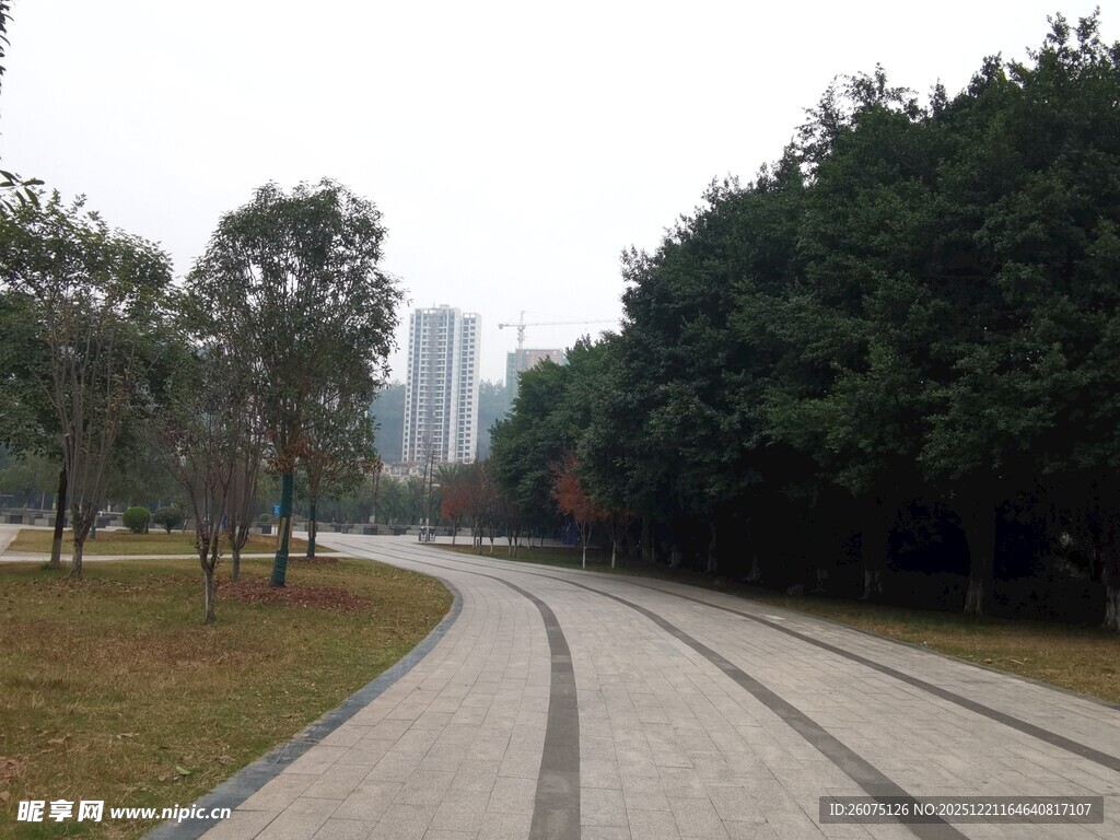 公园蜿蜒小路绿树相伴