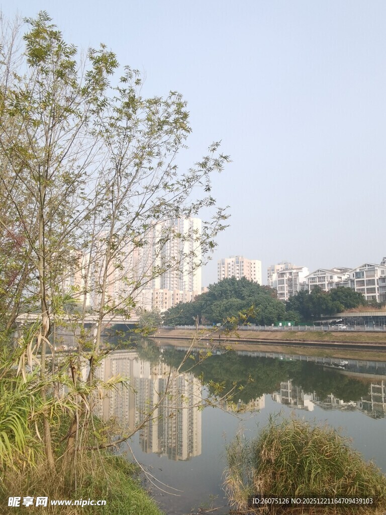 河畔风光绿树与城市倒影