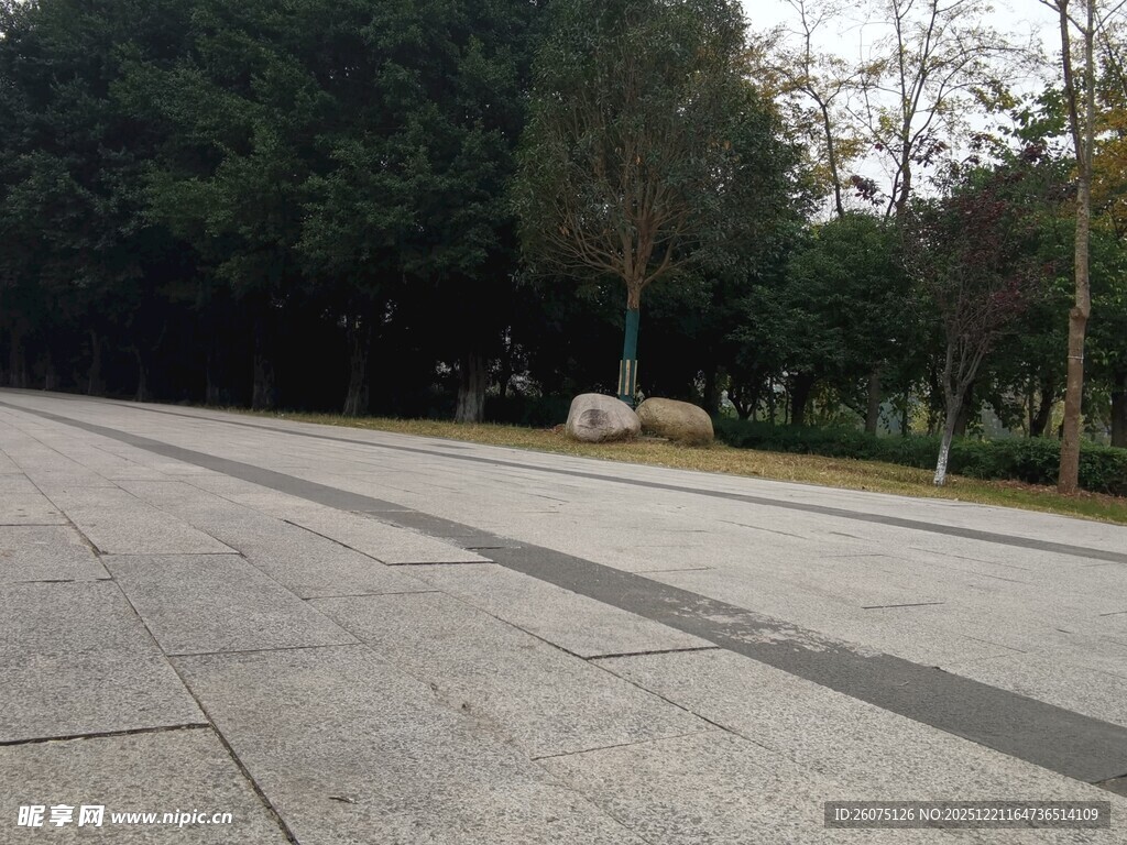 宽阔平坦的户外道路场景