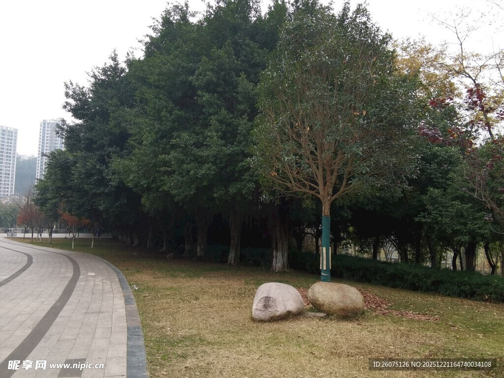 城市公园中的草地与巨石