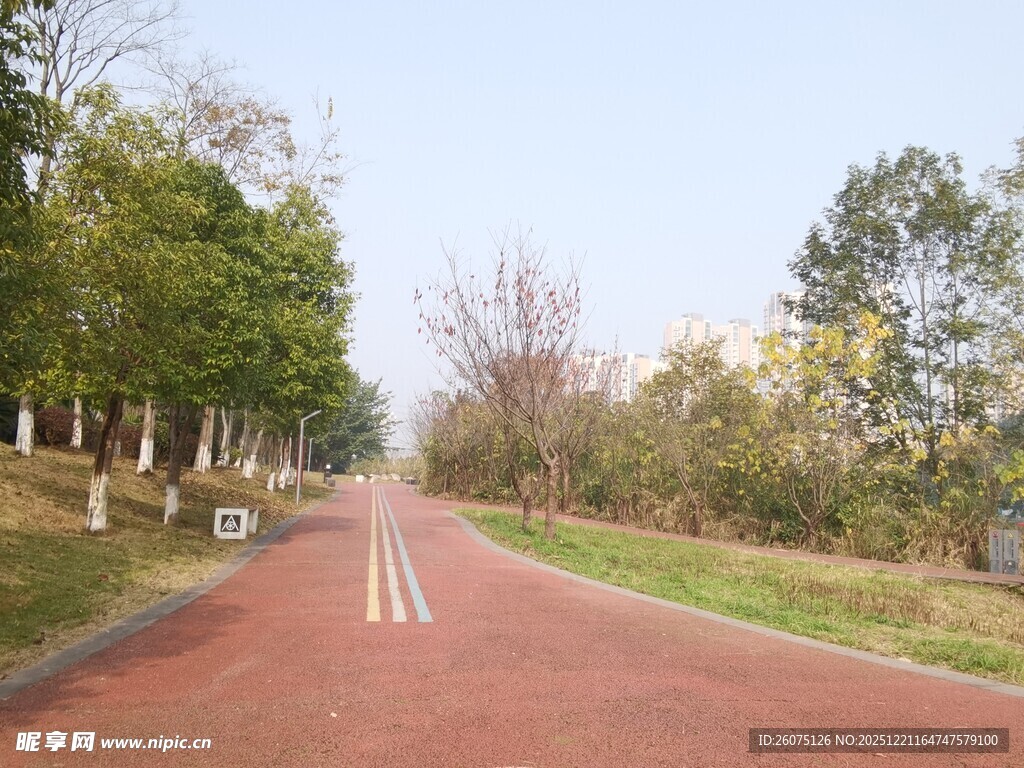 秋日林间的红色骑行道路