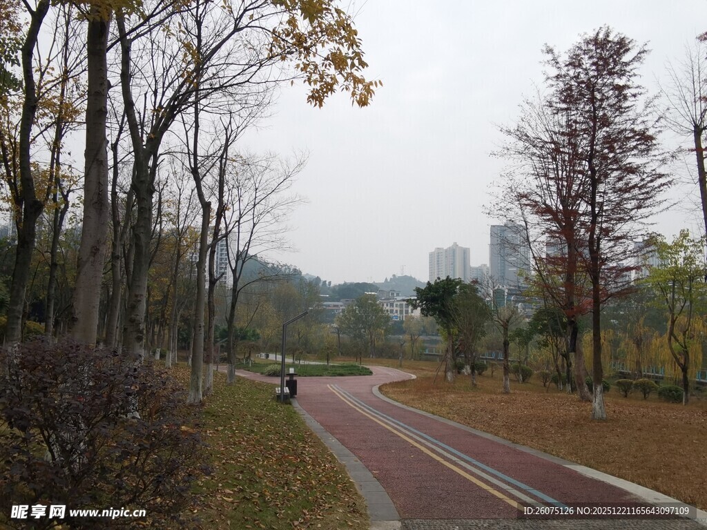 秋日林间的红色健身步道