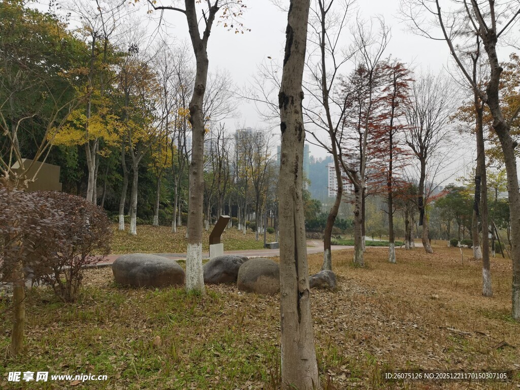 秋日公园萧瑟景象