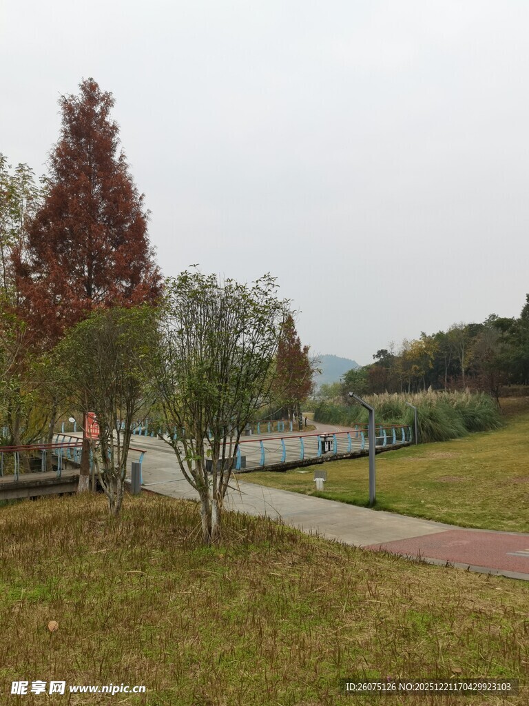 秋日公园小径风景