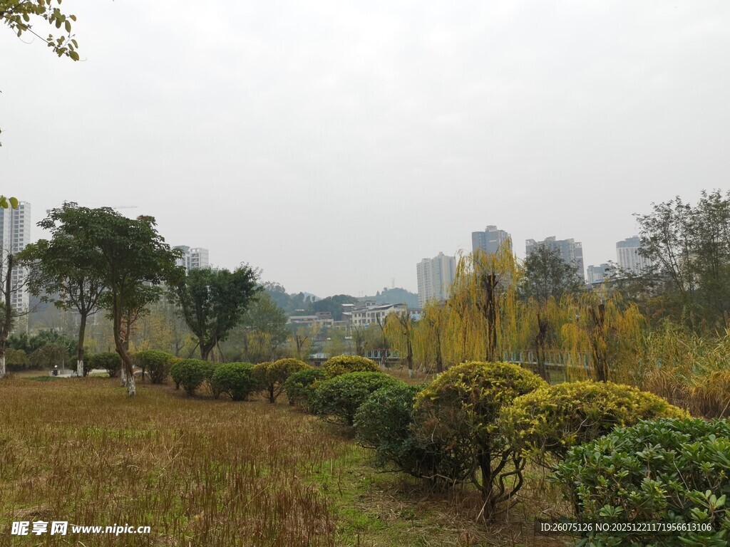 秋日郊野绿植景观