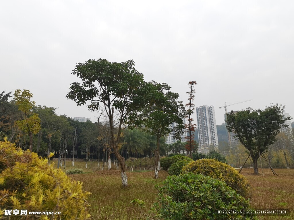 城市中的自然景观