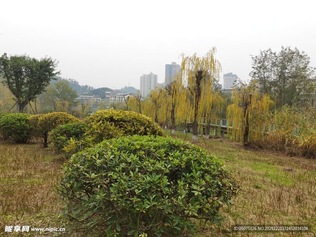 秋日园林绿植景观