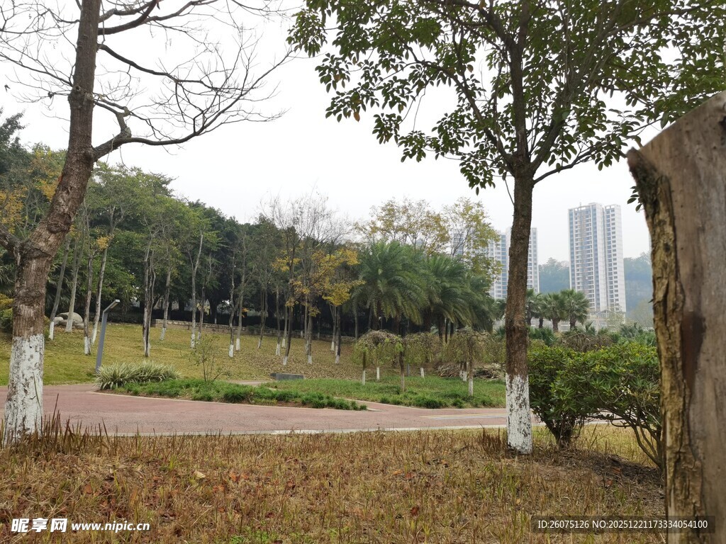 城市公园静谧秋日景致