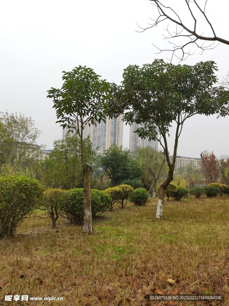 郊外秋日园林景致