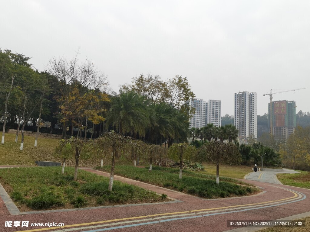 城市中的宁静公园小路