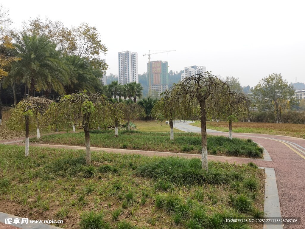 城市中的静谧公园小径