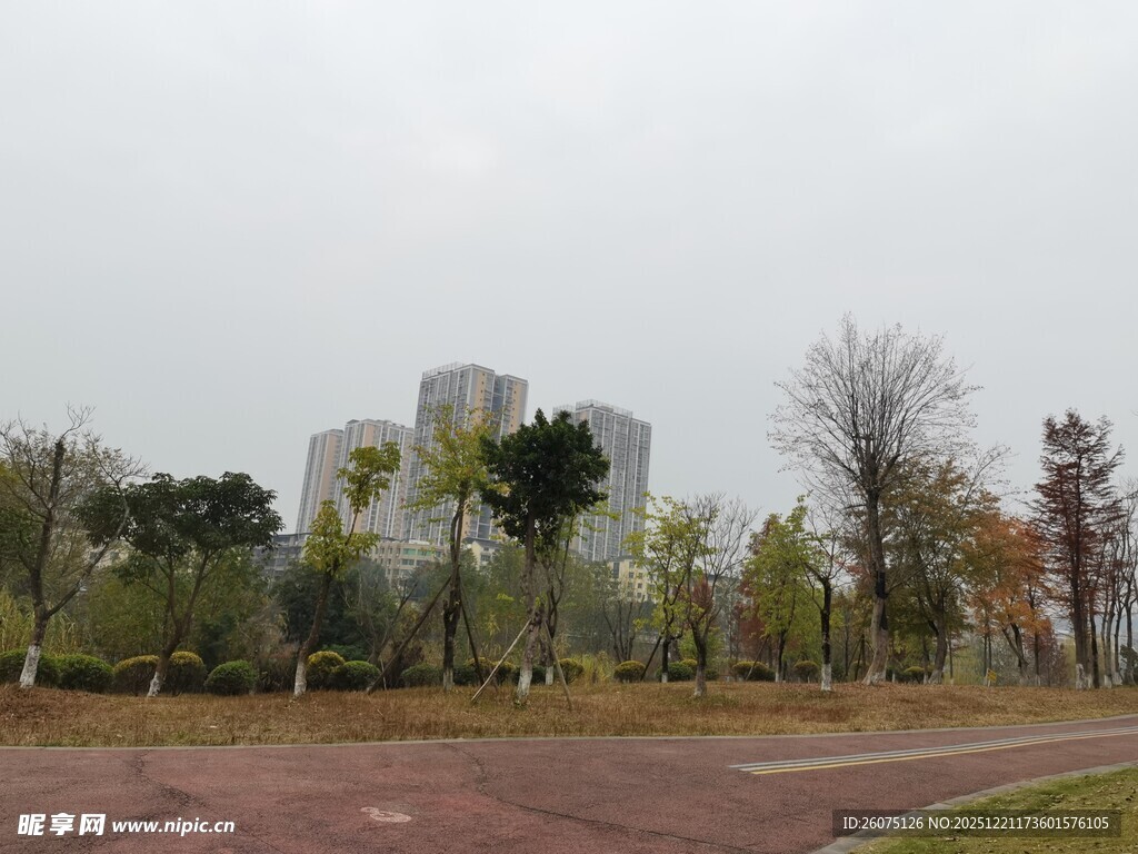 城市公园中的建筑与树木