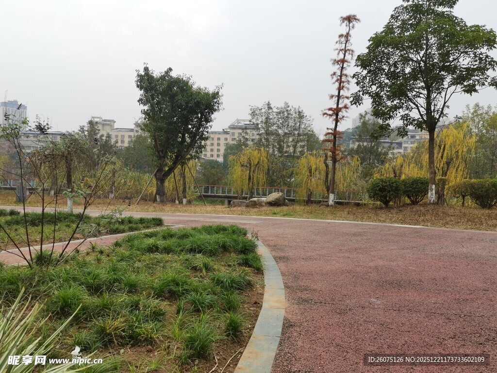 公园中的蜿蜒红砖小径