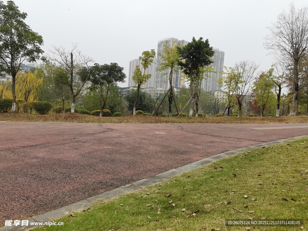 户外开阔道路旁绿植景观