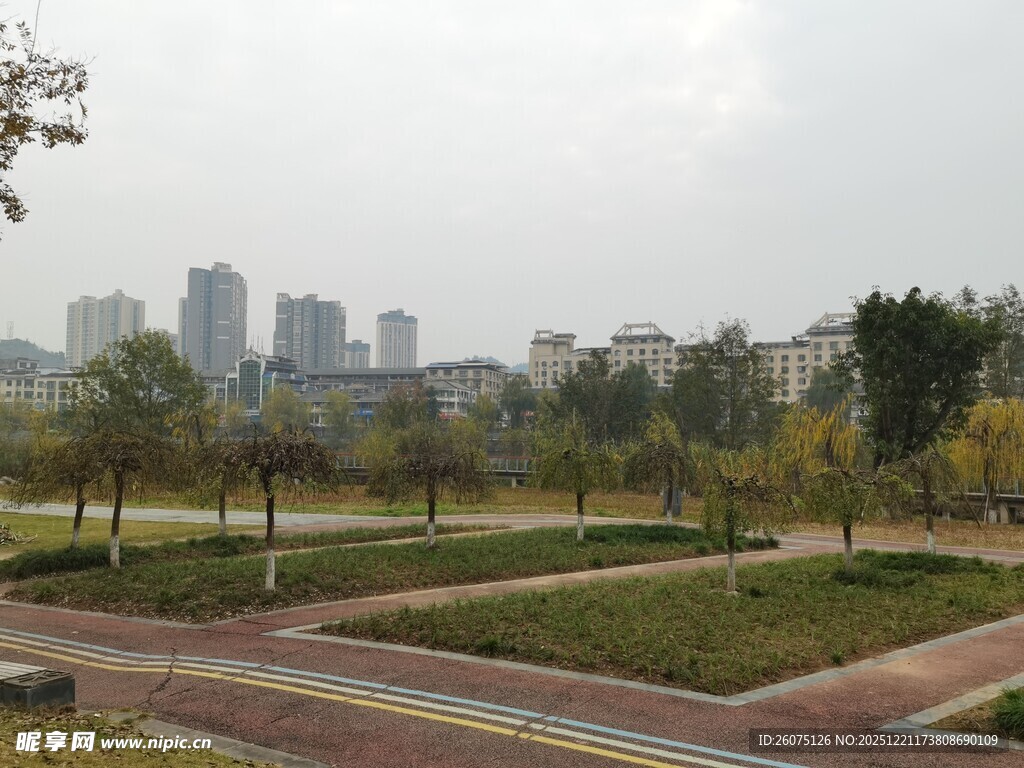 城市公园中的开阔景致