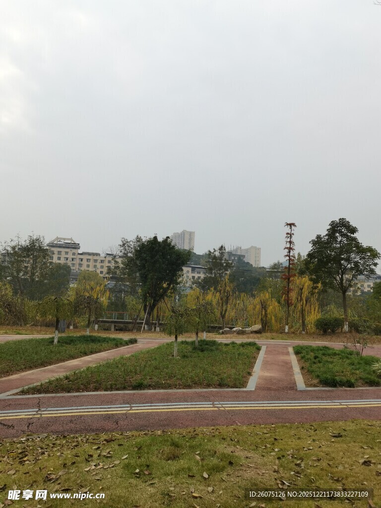 户外开阔绿地景观