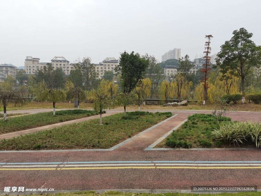 城市公园的宁静景致