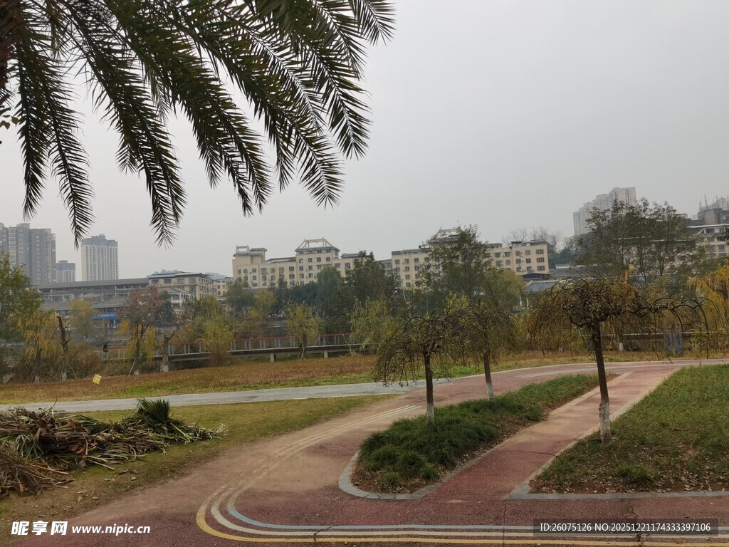 城市公园的宁静景致