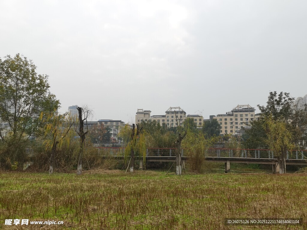 城郊草地与远处建筑景观