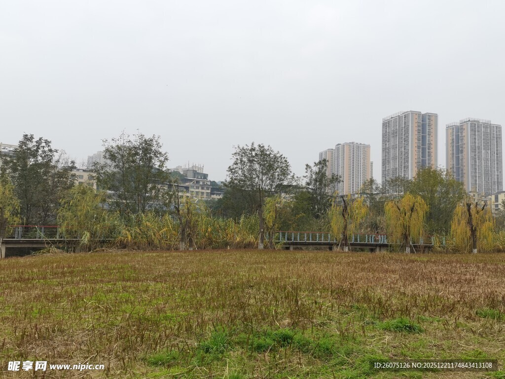 城郊开阔草地与远处高楼