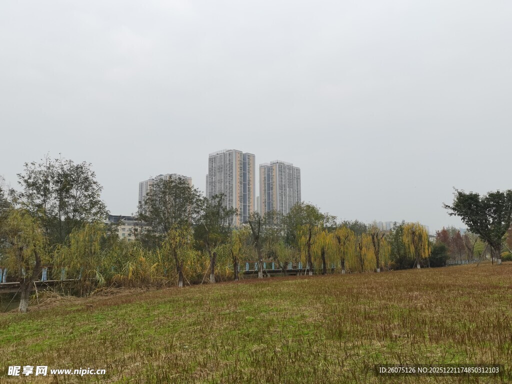 城郊草地与远处高楼景观