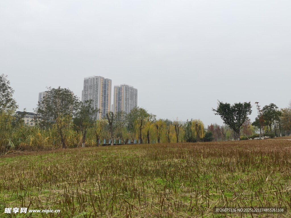 城郊田野与远处高楼景观