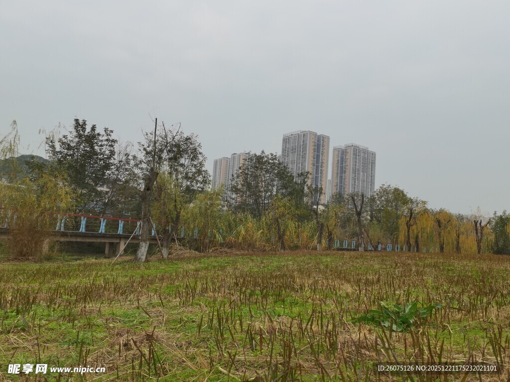 城郊草地与远处高楼景观
