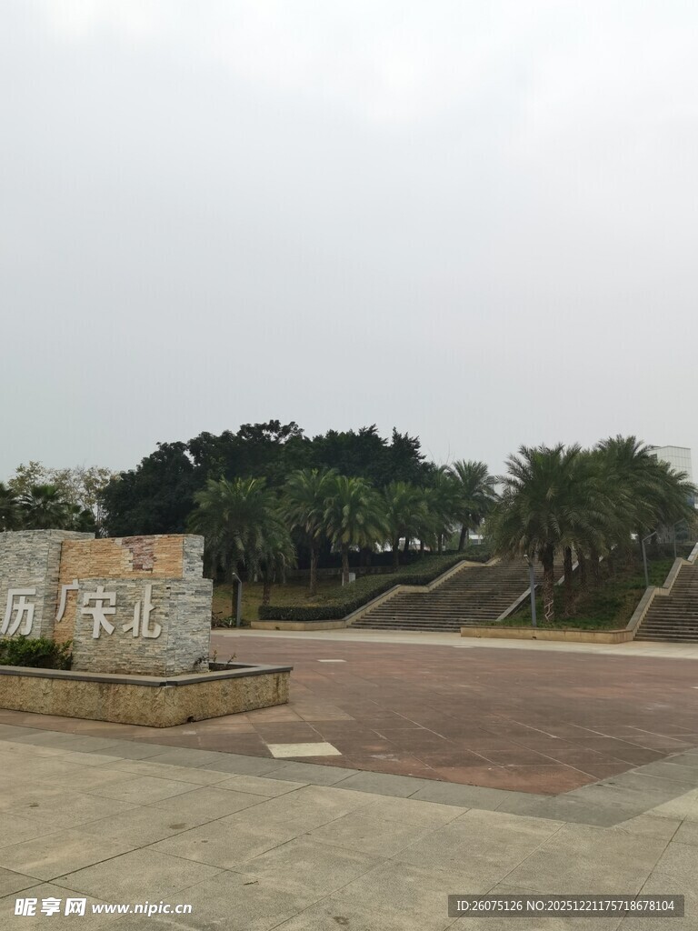 空旷户外场地与稀疏树木