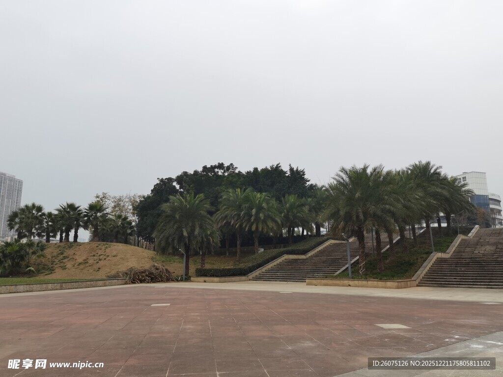 户外开阔的绿化场地