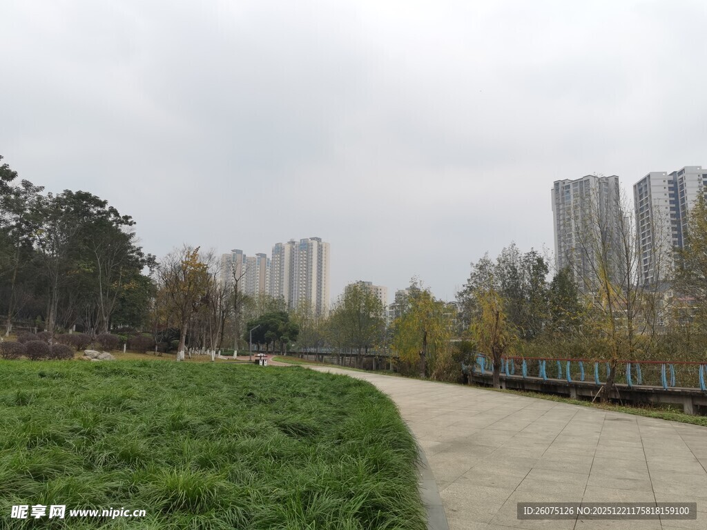 城市公园中的蜿蜒步道