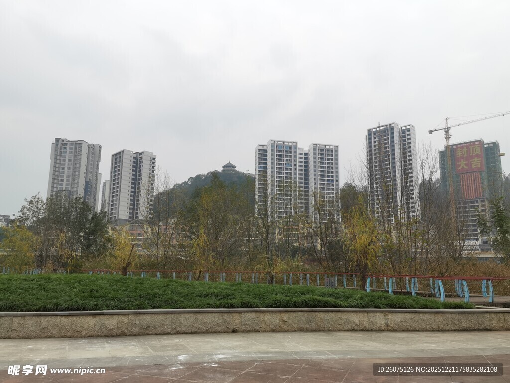 城市远景中的高楼与植被