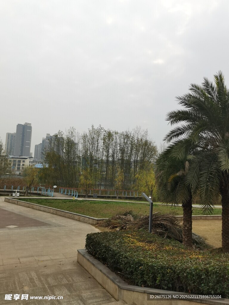 城市公园中的静谧景观