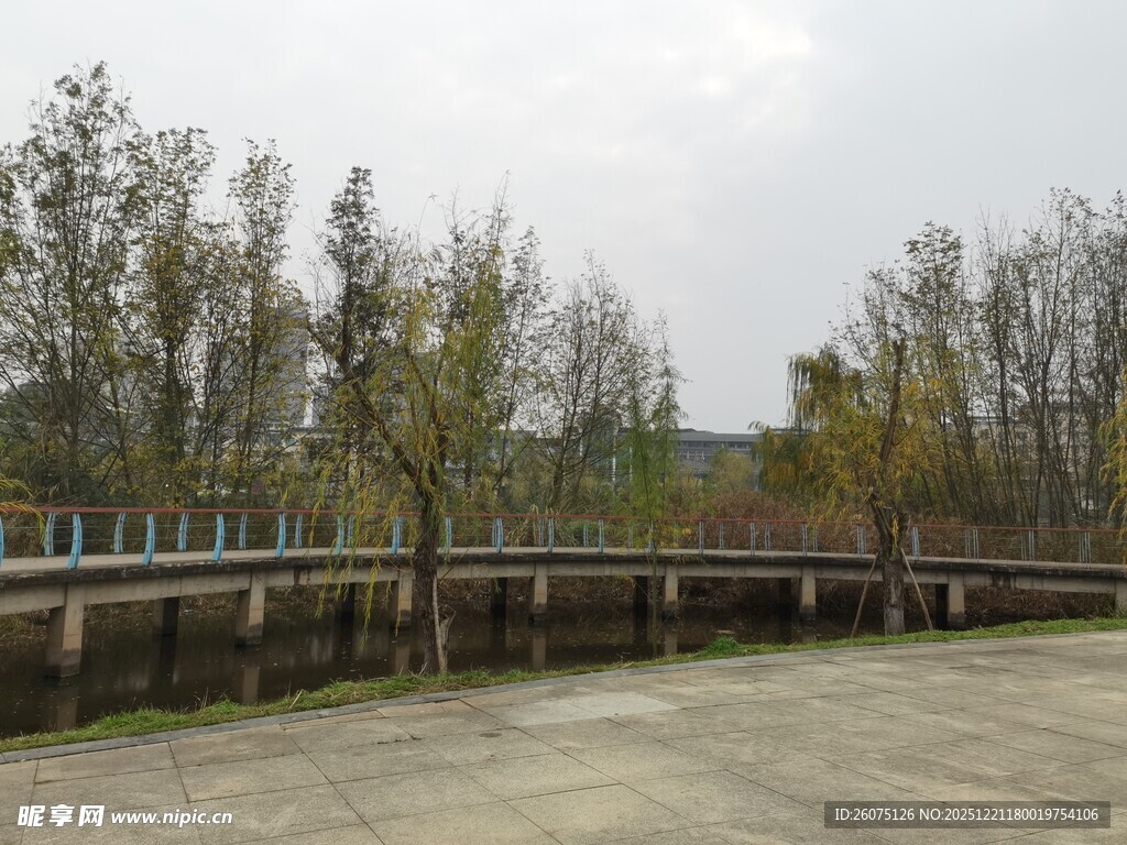 户外空旷场地与树木景观