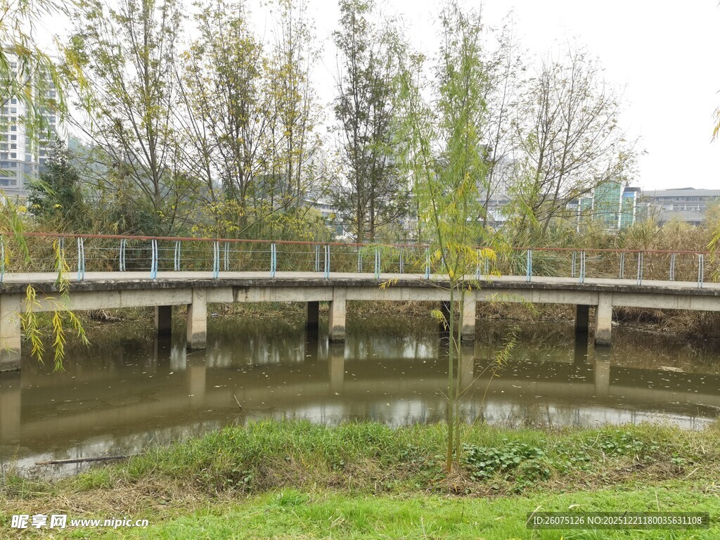 乡村石桥畔的自然景致