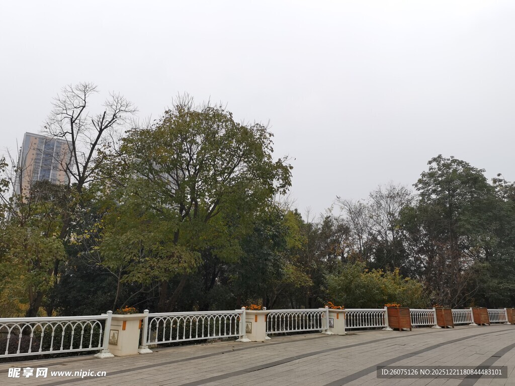 城市公园中的宁静步道