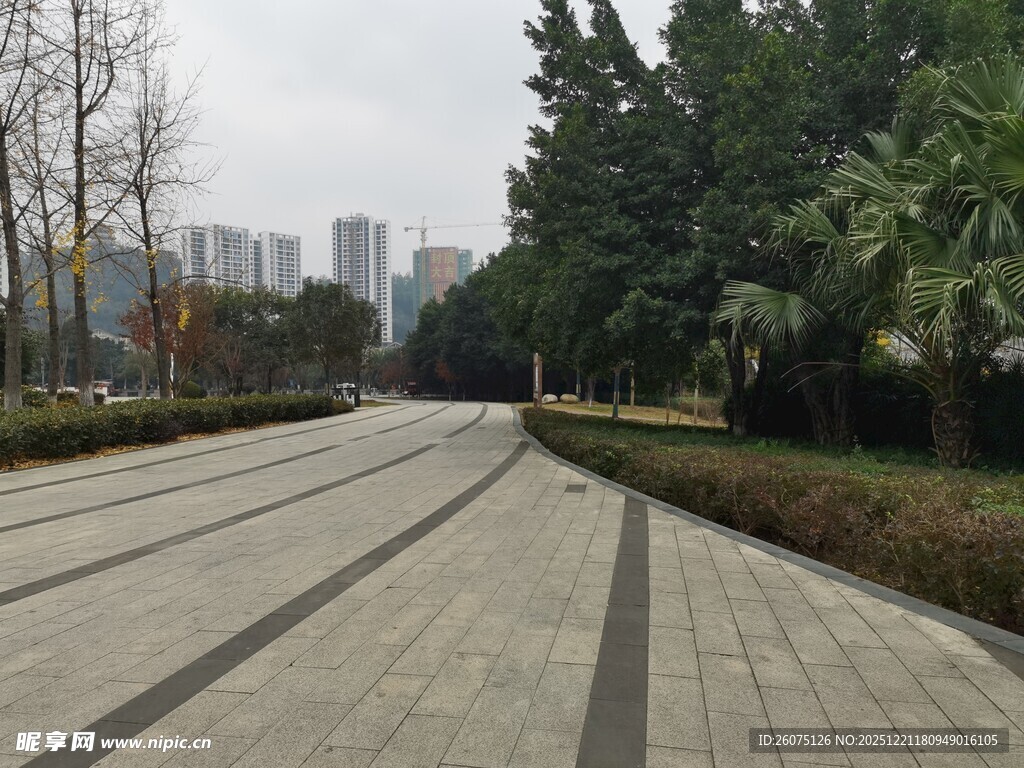城市林荫步道景观