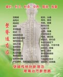 人体经络穴位示意图