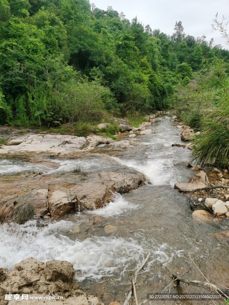 山间溪流潺潺 绿意盎然