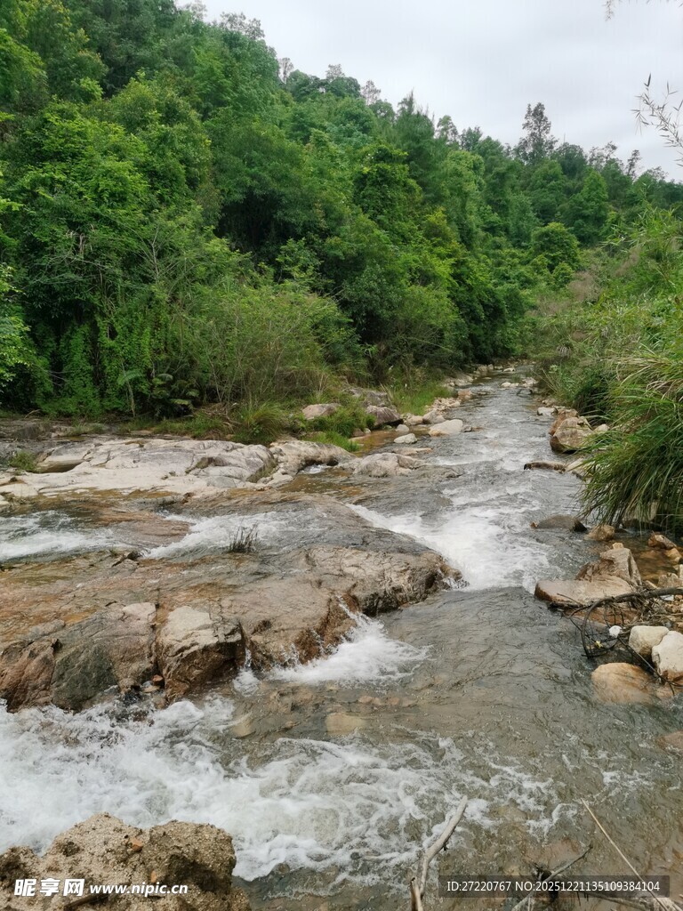 山间溪流潺潺 绿意盎然