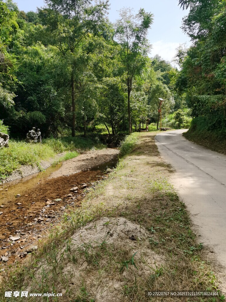 林间小道旁的潺潺溪流