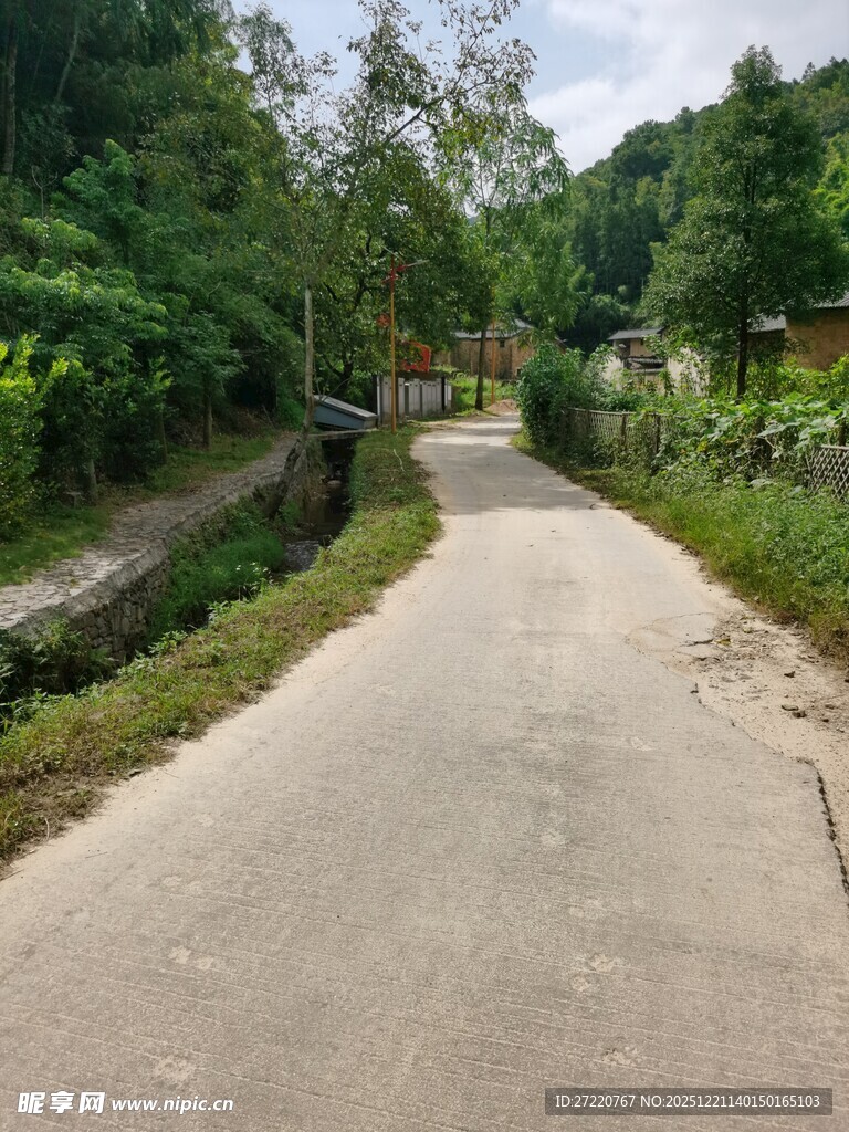 乡村水泥小道 绿意环绕